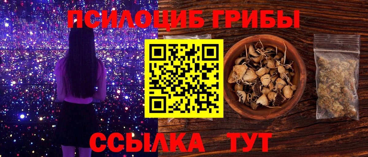 Галлюциногенные грибы Cubensis Кунгур