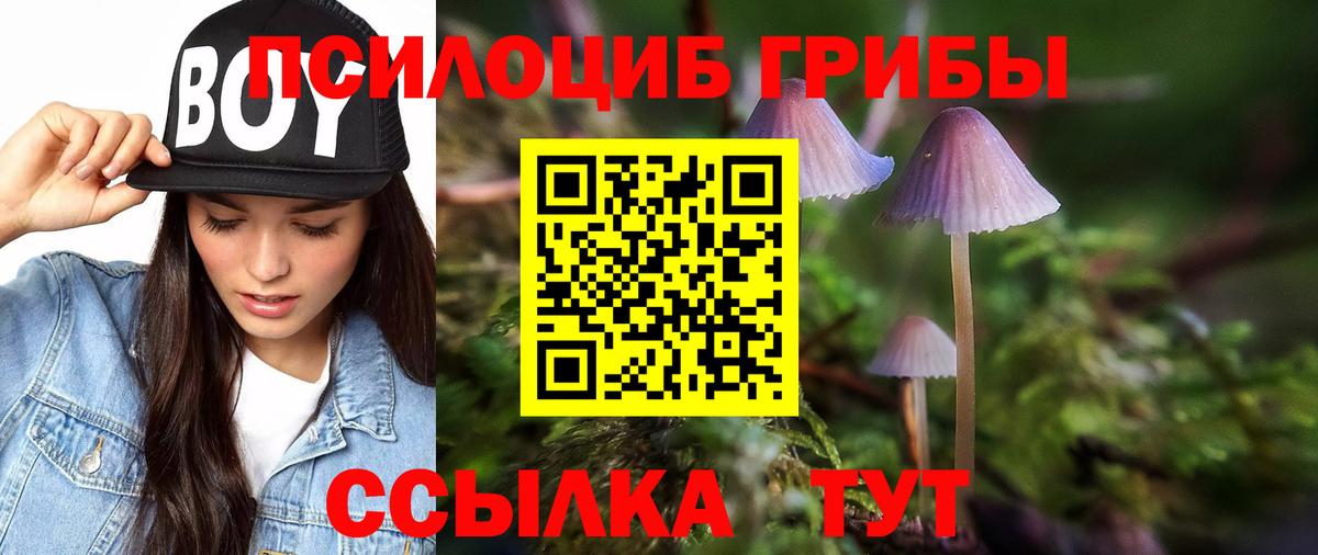 Кунгур  Псилоцибиновые грибы Psilocybine cubensis  Вход с VPN  Галлюциногенные грибы Psilocybine cubensis 